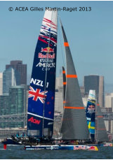 � ACEA Gilles Martin-Raget 2013